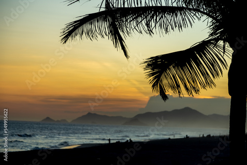 Rio de Janeiro beach at sunset. silhouettes of palm trees