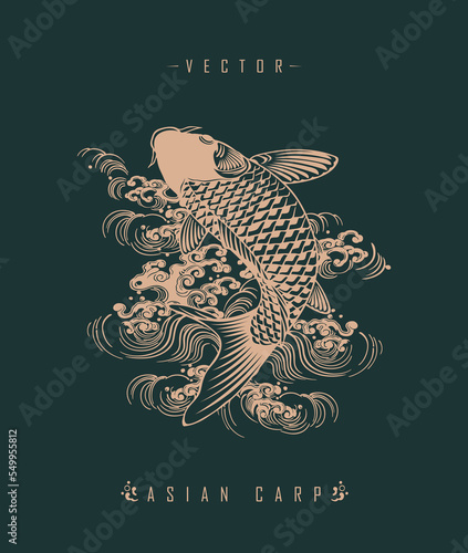 Chinese carp traditional art form