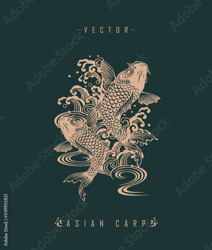 Chinese carp traditional art form