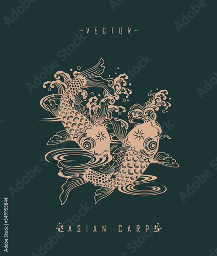 Chinese carp traditional art form