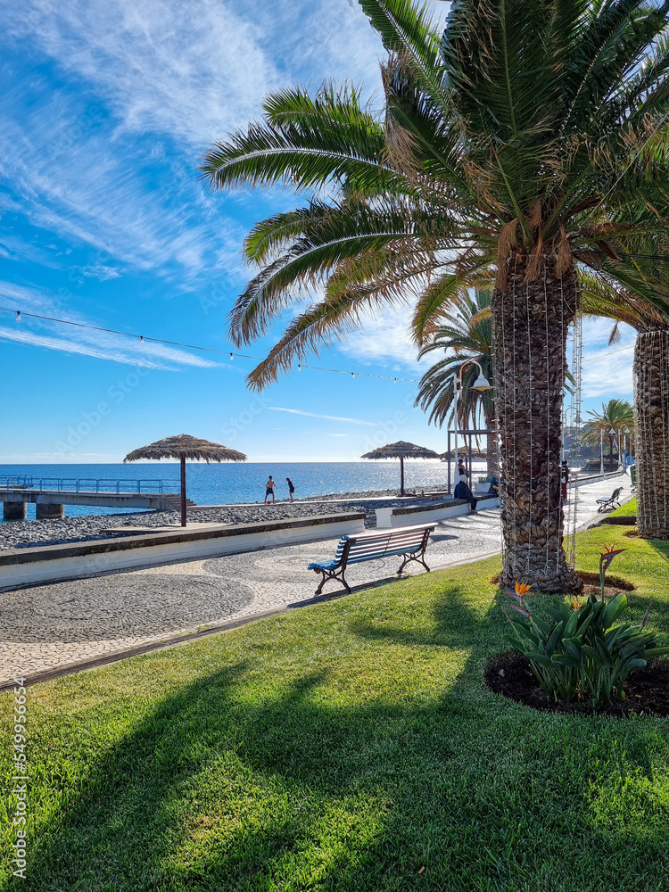 Fototapeta premium vista della città di santa cruz madeira