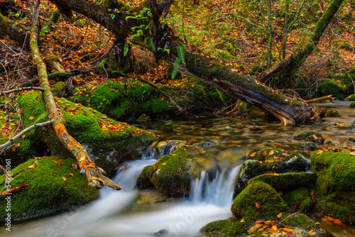 waterfall in mata da albergaria