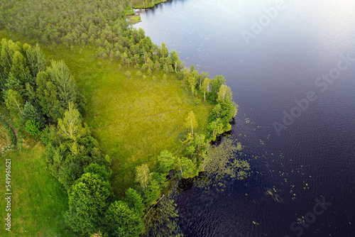 Fototapeta Naklejka Na Ścianę i Meble -  Aerial view of lake and forest. Summer lake, aerial landscape, beautiful nature