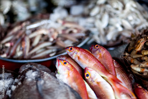 Fresh fish at the seafood market. Fish on the market stalls