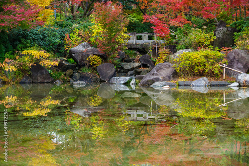 Fototapeta Naklejka Na Ścianę i Meble -  日本庭園の池