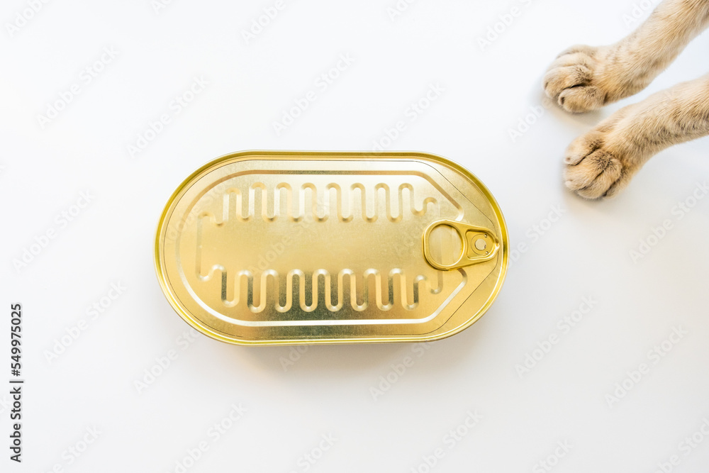 Cat's paws stand near a tin can with sprats on a white background, close up image
