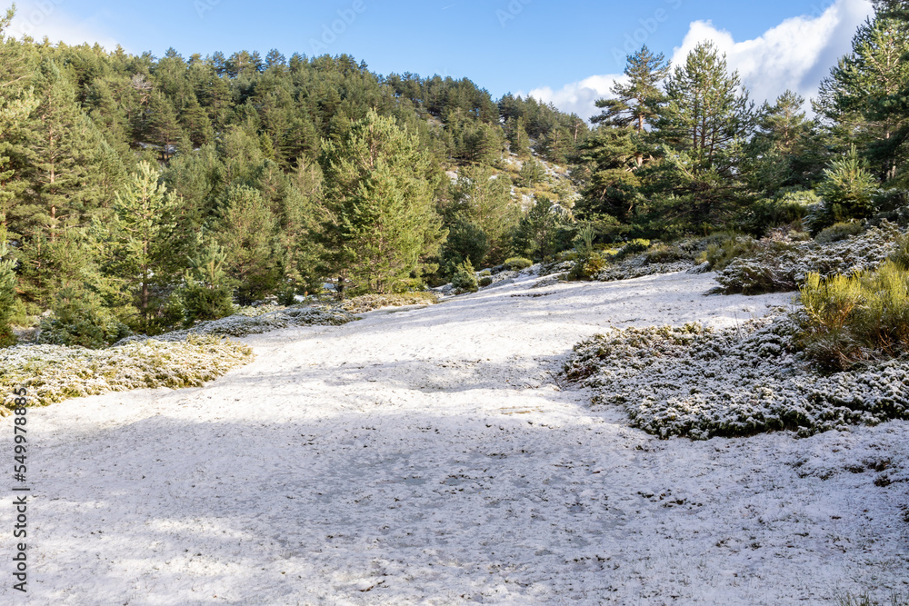 Slightly snowy landscape with the first snowfall in the Sierra de Guadarrama in Madrid Slightly snowy landscape with the first snowfall in the Sierra de Guadarrama in Madrid