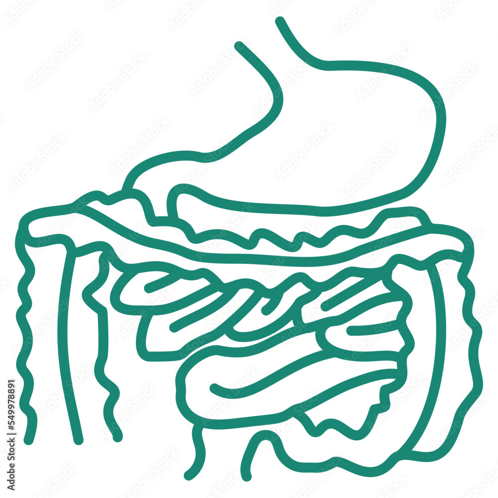 Digestion Pictogram Simple outline modern turquoise human digestive system icon. Minimal ...