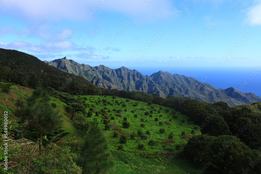 Obraz premium View in the Rural Park of Anaga in the north of tenerife