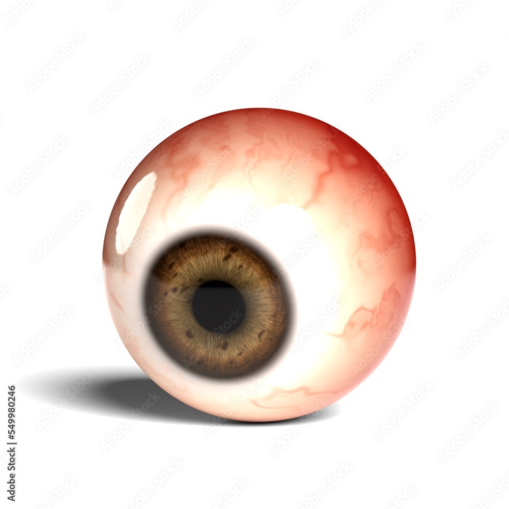 Side view of realistic human eyeball isolated on wihte background, 3D rendering