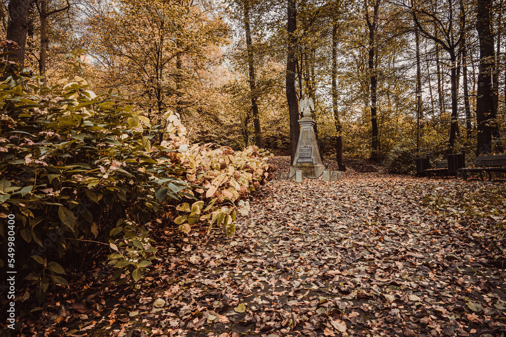 Jesień w parku, Park Olszynka na Śląsku w Polsce gmina Gorzyce jesienią