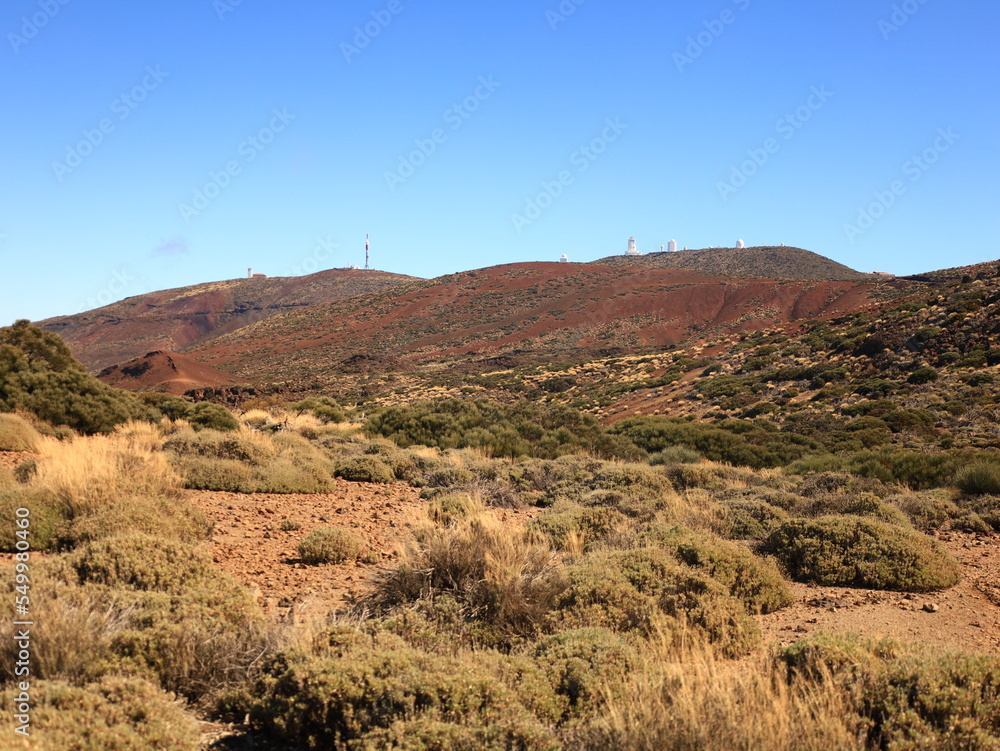 View in the National Park of Teide in tenerife