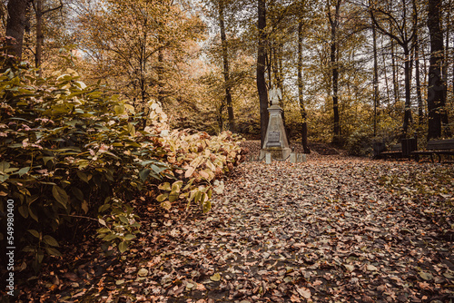 Obraz na płótnie Jesień w parku, Park Olszynka na Śląsku w Polsce gmina Gorzyce jesienią w salonie