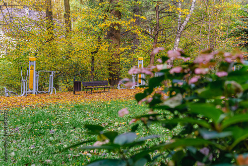 Obraz na płótnie Jesień w parku, Park Olszynka na Śląsku w Polsce gmina Gorzyce jesienią w salonie