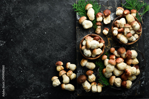Autumn Cep Porcini Mushrooms. White mushroom on a black stone table. Top view. Organic food.