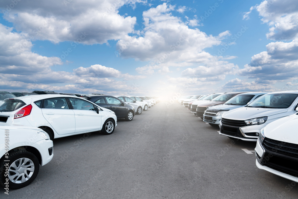 Fototapeta premium A lot of cars in a rows. Used car sales