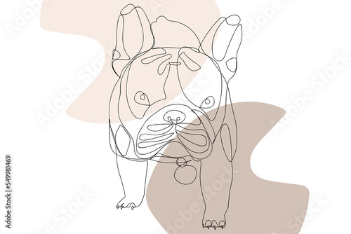 French bulldog one continuous single drawn line art vector illustration. Dog head doodle one line style with colorful geometry elements.