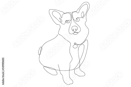 Continuous one line drawing with cute Welsh Corgi. Contemporary vector illustration on white background. Black line art on white background.