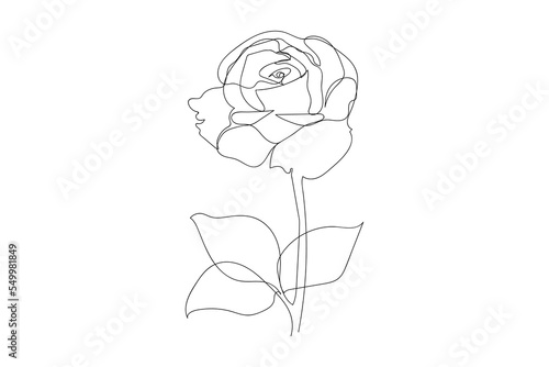 Continuous one line drawing vector illustration of rose flower minimalist design minimalism concept