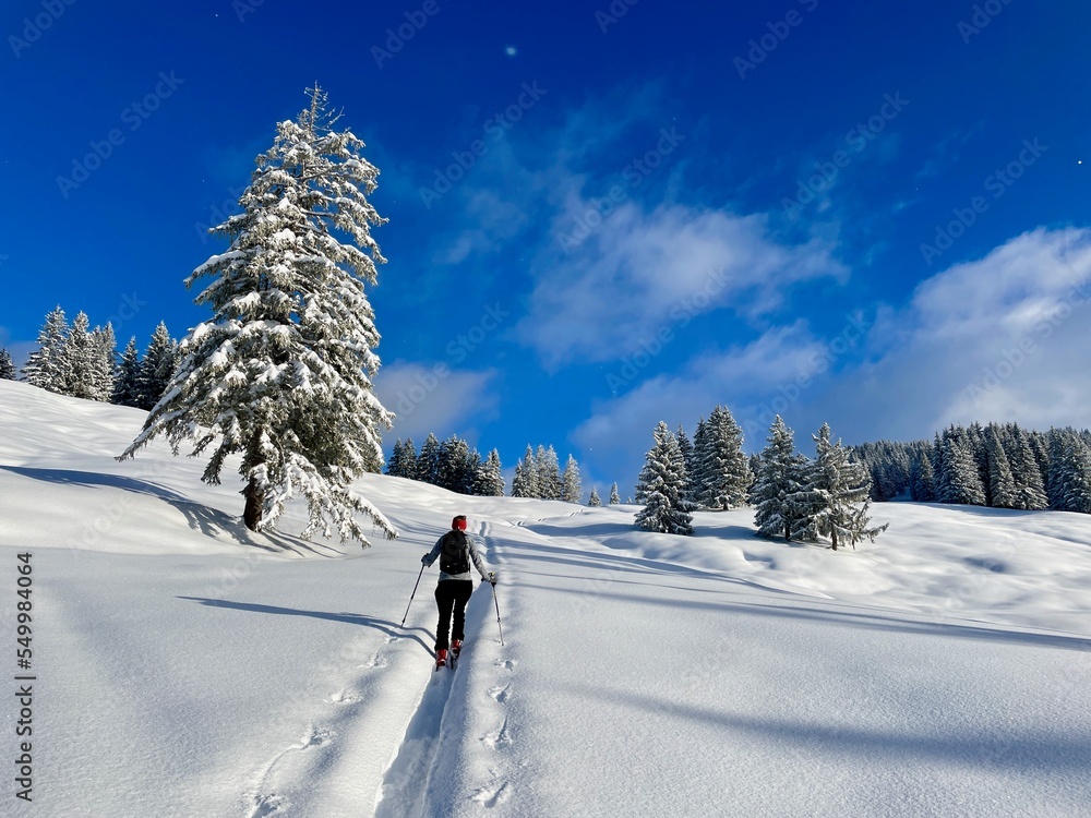 Ski touring in a peaceful winter landscape deeply covered in snow. Vorarlberg, Austria.