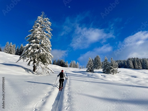 Ski touring in a peaceful winter landscape deeply covered in snow. Vorarlberg, Austria.