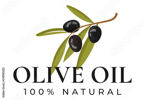 Olive oil. Natural product. extra virgin olive oil icon vector illustration. Elegant Logo template with olive branch - simple linear style