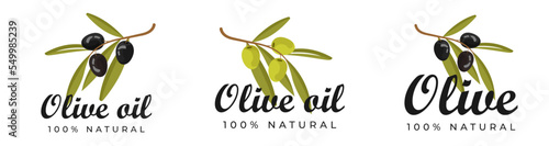 Vector set of olive oil labels. Olive tree, branches and drop. Black olives. Green olives.	