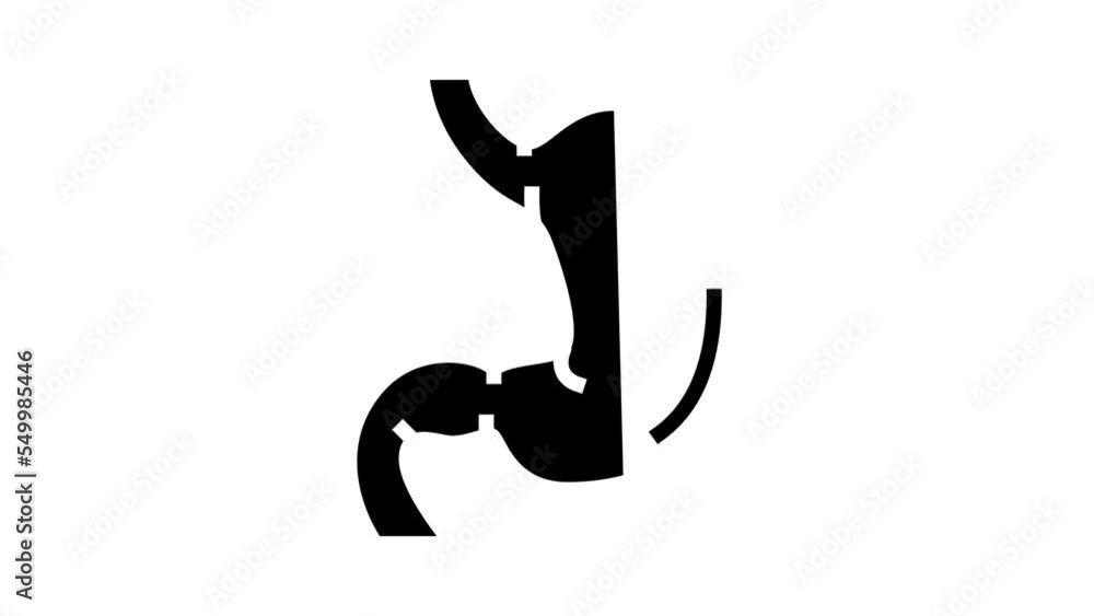 stomach human organ glyph icon animation stomach human organ glyph icon animation