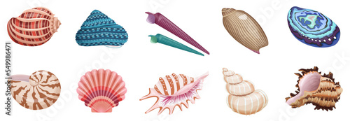 Seashells set vector illustration. Cartoon tropical marine animals collection with sea and ocean shells of different colors, patterns and shapes isolated white. Summer vacation, undersea life concept