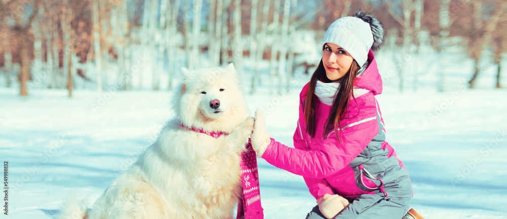 Young woman owner giving hand to paw high five with white Samoyed dog in winter park Young woman owner giving hand to paw high five with white Samoyed dog in winter park