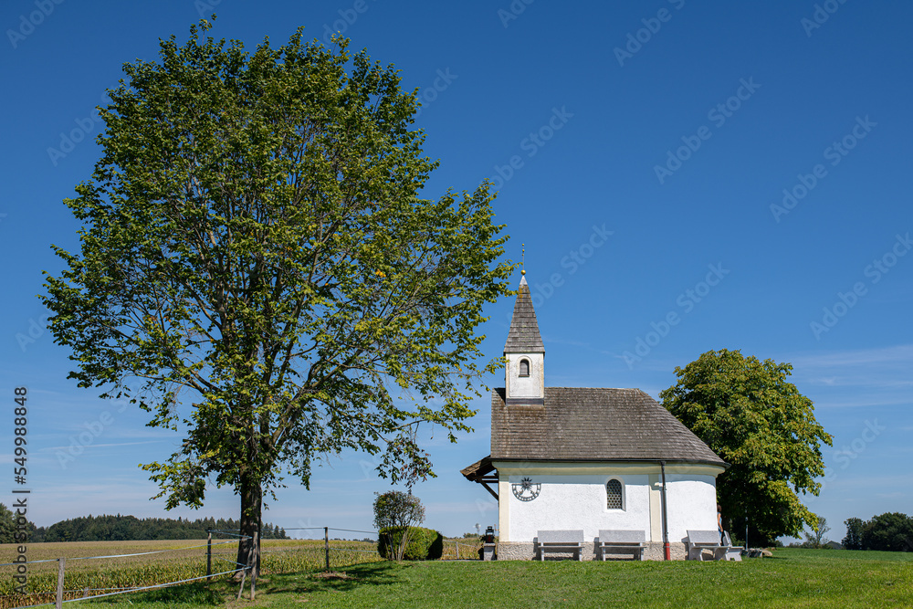 Landscape of the Schooner chapel in the meadow next to a Horse Chestnut Aesculus hippocastanum L. Landscape of the Schooner chapel in the meadow next to a Horse Chestnut Aesculus hippocastanum L.