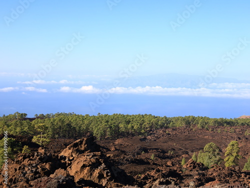 View on a mountain in the National Park of Teide in Tenerife