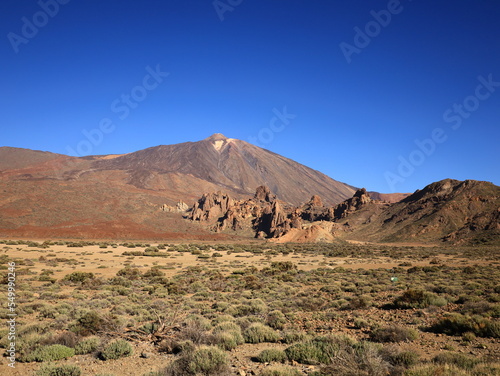 View on the mount Teide in the National Park of Teide in Tenerife     
