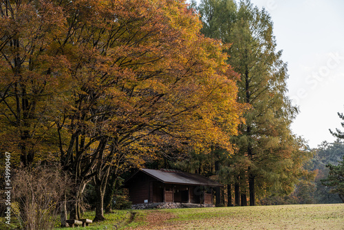 紅葉の中の山小屋 photo