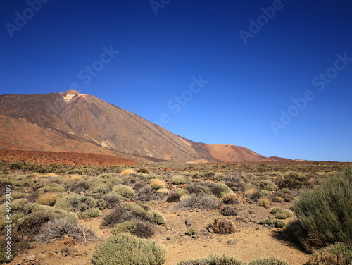 View on the mount Teide in the National Park of Teide in Tenerife