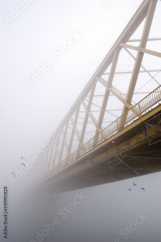 Spooky winter landscape showing bridge over river on a misty winter day