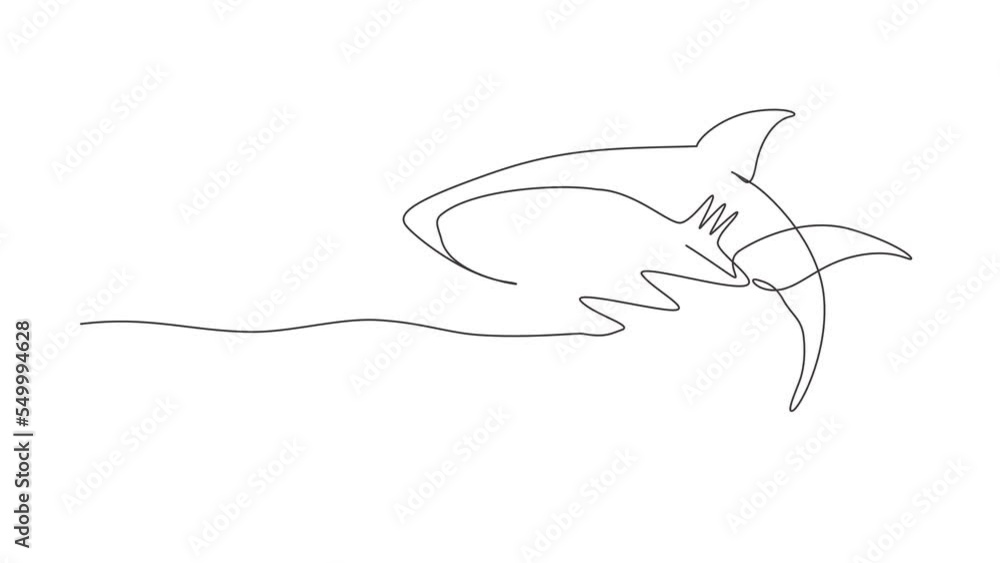 Self drawing animation of single line draw sharks fish. Shark animals, scary jaws, ocean swimming angry sharks. Marine predator fish or creatures character. Continuous line draw. Full length animated Self drawing animation of single line draw sharks fish. Shark animals, scary jaws, ocean swimming angry sharks. Marine predator fish or creatures character. Continuous line draw. Full length animated