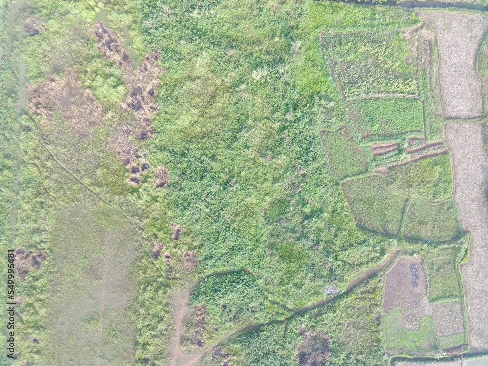 Fototapeta premium aerial view of land mapping by unmaned aerial vehicle in Bogor, Indonesia.