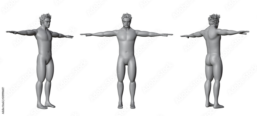 Wire frame human full body isolated on a white background. Polygonal technology design. Front, Back, Side view. Set Wire frame human full body isolated on a white background. Polygonal technology design. Front, Back, Side view. Set
