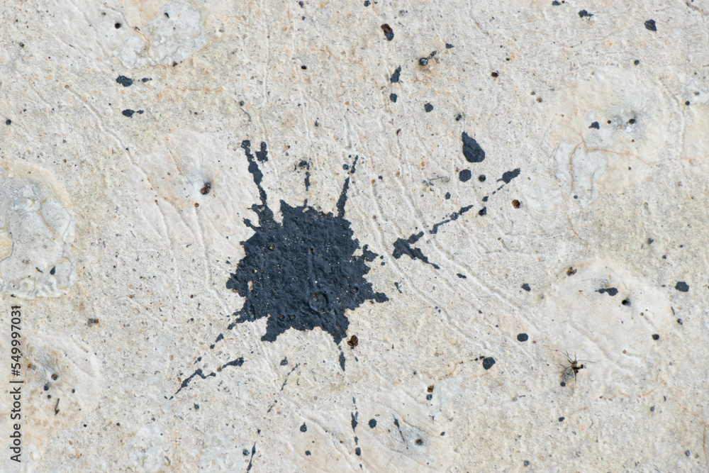 Splash of painting on concrete texture background Splash of painting on concrete texture background