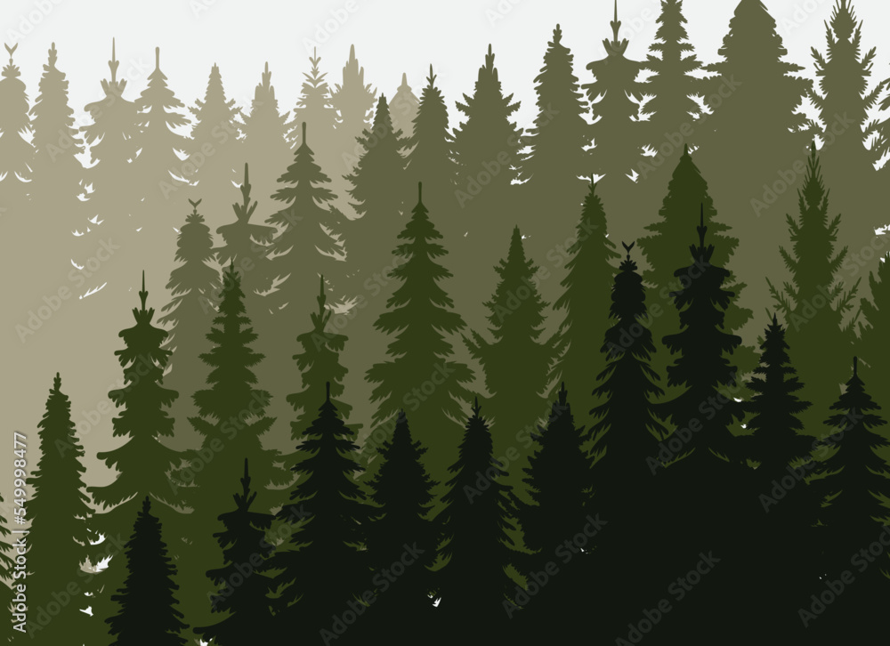 Fototapeta premium silhouette forest, nature spruce design