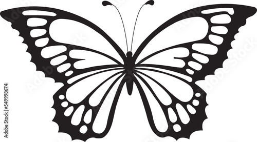 Icono vector de mariposa grande  photo