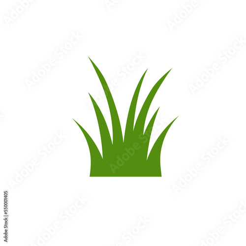 Green Grass Isolated on White Background,flowers