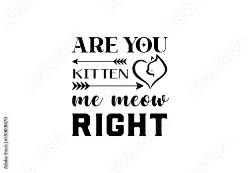 Funny Cat SVG Bundle, Cat SVG, Kitten SVG, Cat lady SVG, crazy cat lady SVG, cat lover SVG