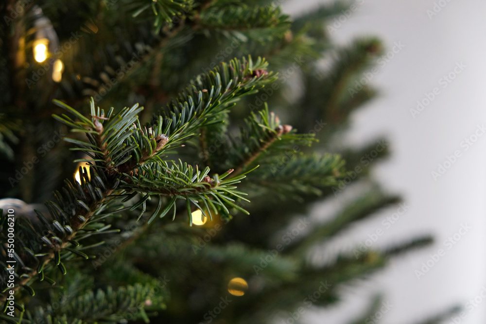 Cropped shot of a christmas tree branch decorated with yellow lights. Close up, background, copy space for text.