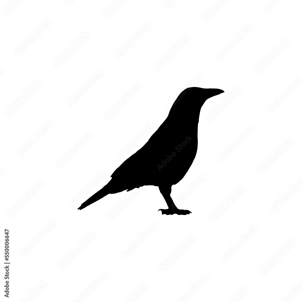 Fototapeta premium Crow icon. Simple style Halloween holiday poster background symbol. Crow brand logo design element. Crow t-shirt printing. Vector for sticker.