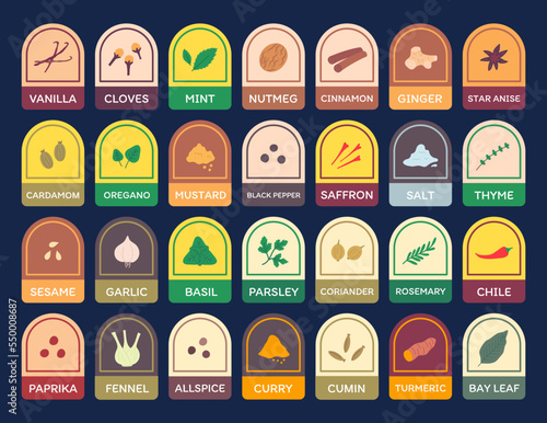 Vector spices names with images stickers set. Round arch food preparation ingredients labels with detailed plants and text isolated. Seasonings labels illustration