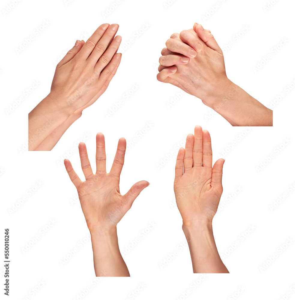 Female, women's hands with fingers held together and held up as a stop sign isolated against a transparent background.