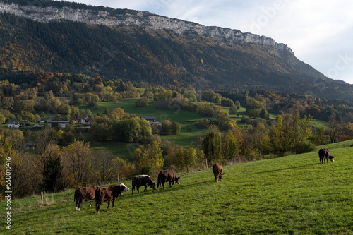 Paysage des montagnes du département de la Savoie dans le Parc Régional des Bauges à l'automne en France autour du village de Le Noyer