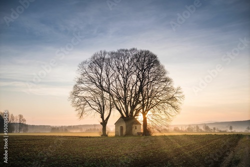 Murais de parede Trees and chapel in the field against a scenic sunset